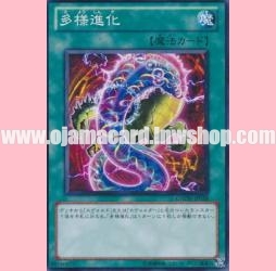 GAOV-JP058 : Evo-Diversity / Diverse Evolution (Common)