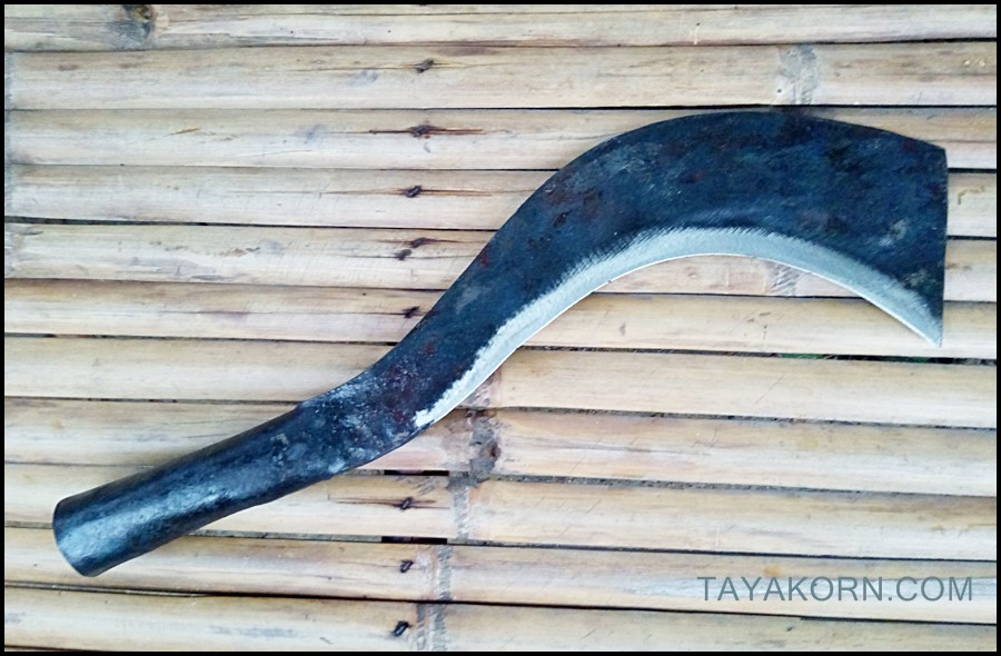 มีดขอตัดไม้ TKSS-1