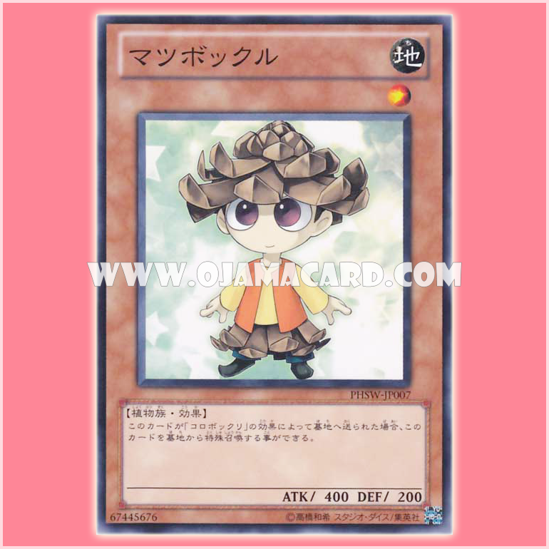 PHSW-JP007 : Pinecono / Matsubockle (Common)