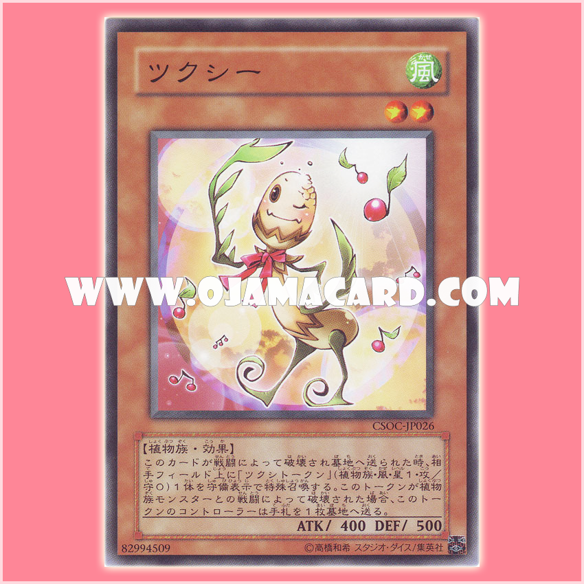 CSOC-JP026 : Horseytail / Horse Tail (Common)