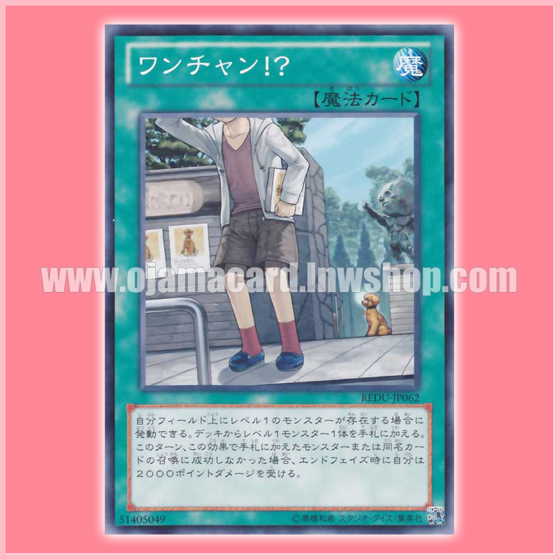 REDU-JP062 : Where Arf Thou? / Wan-chan!? (Common)