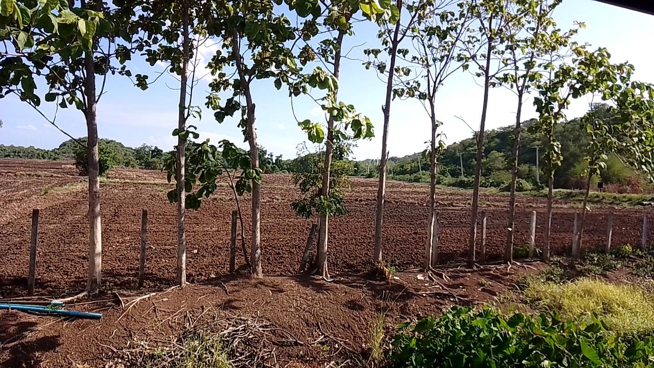 ขายที่ดินทำเลดี พร้อมโฉนดครุฑแดง ต.ช่องแค อ.ตาคลี จ.นครสวรรค์ จำนวน 62 ไร่ 1 งาน (ไม่เเบ่งขาย) เจ้าของขายเอง