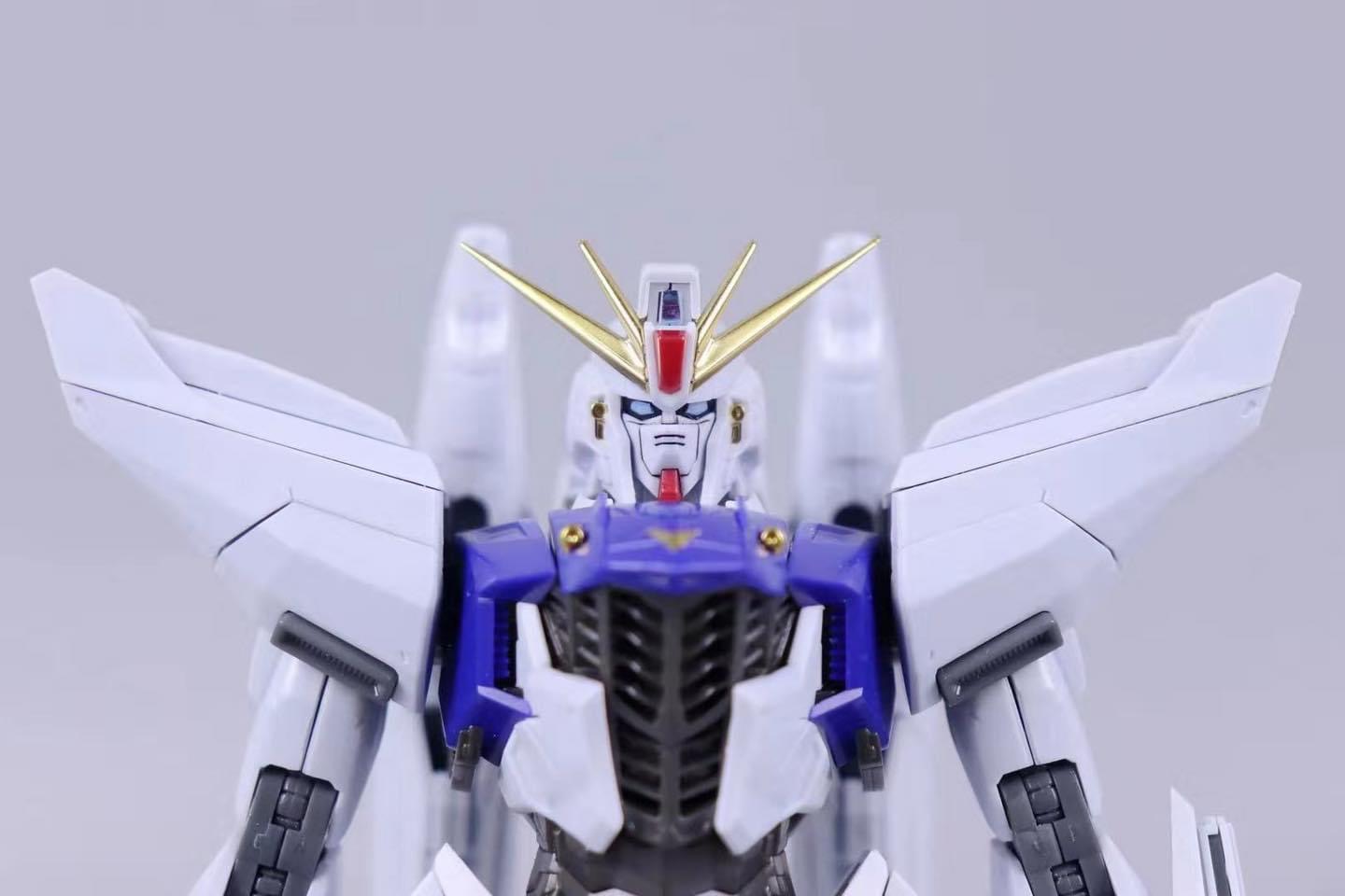 MG 1/100 F91 Ver.MB + MSV Option Set (8821) [Daban]
