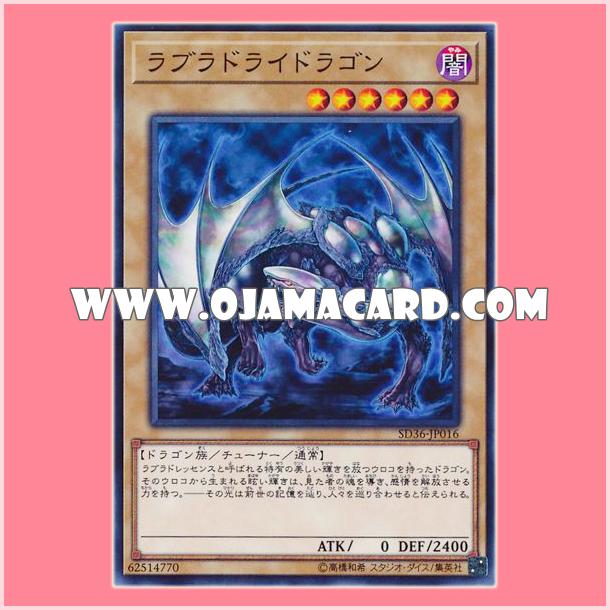 SD36-JP016 : Labradorite Dragon / Labradoridragon (Common)