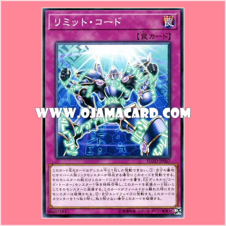 FLOD-JP067 : Limit Code (Common)