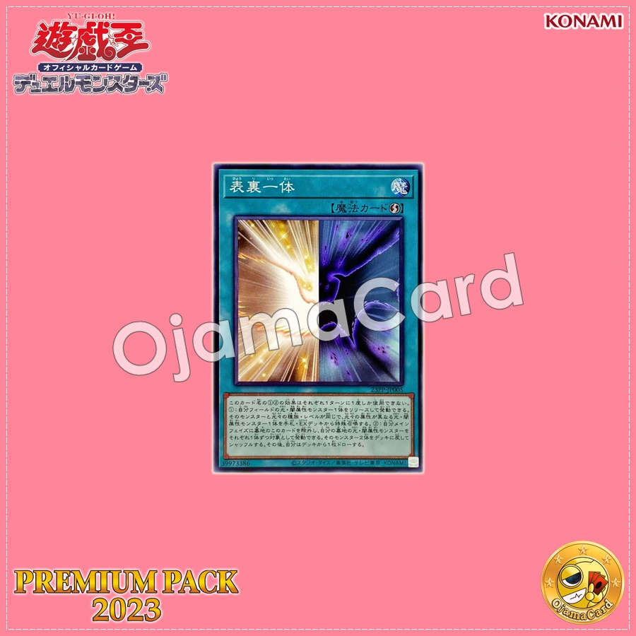23PP-JP005 : Duality (Common)