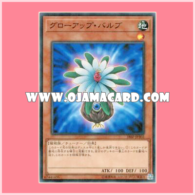 18SP-JP302 : Glow-Up Bulb (Super Rare)