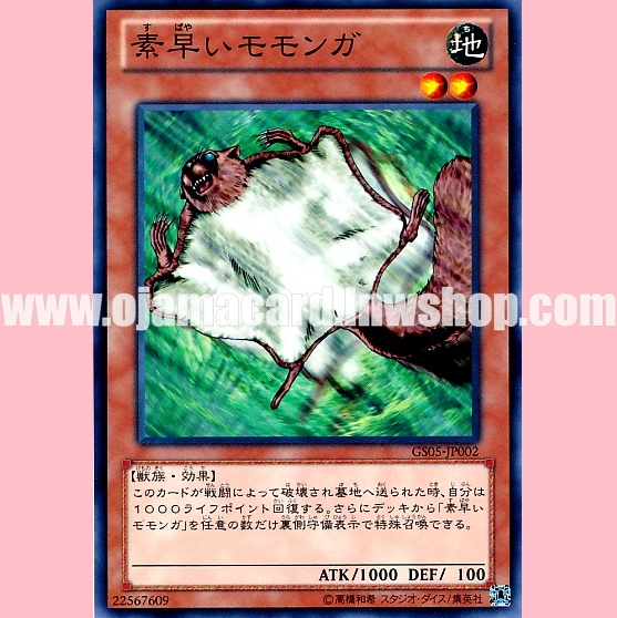 GS05-JP002 : Nimble Momonga (Common)