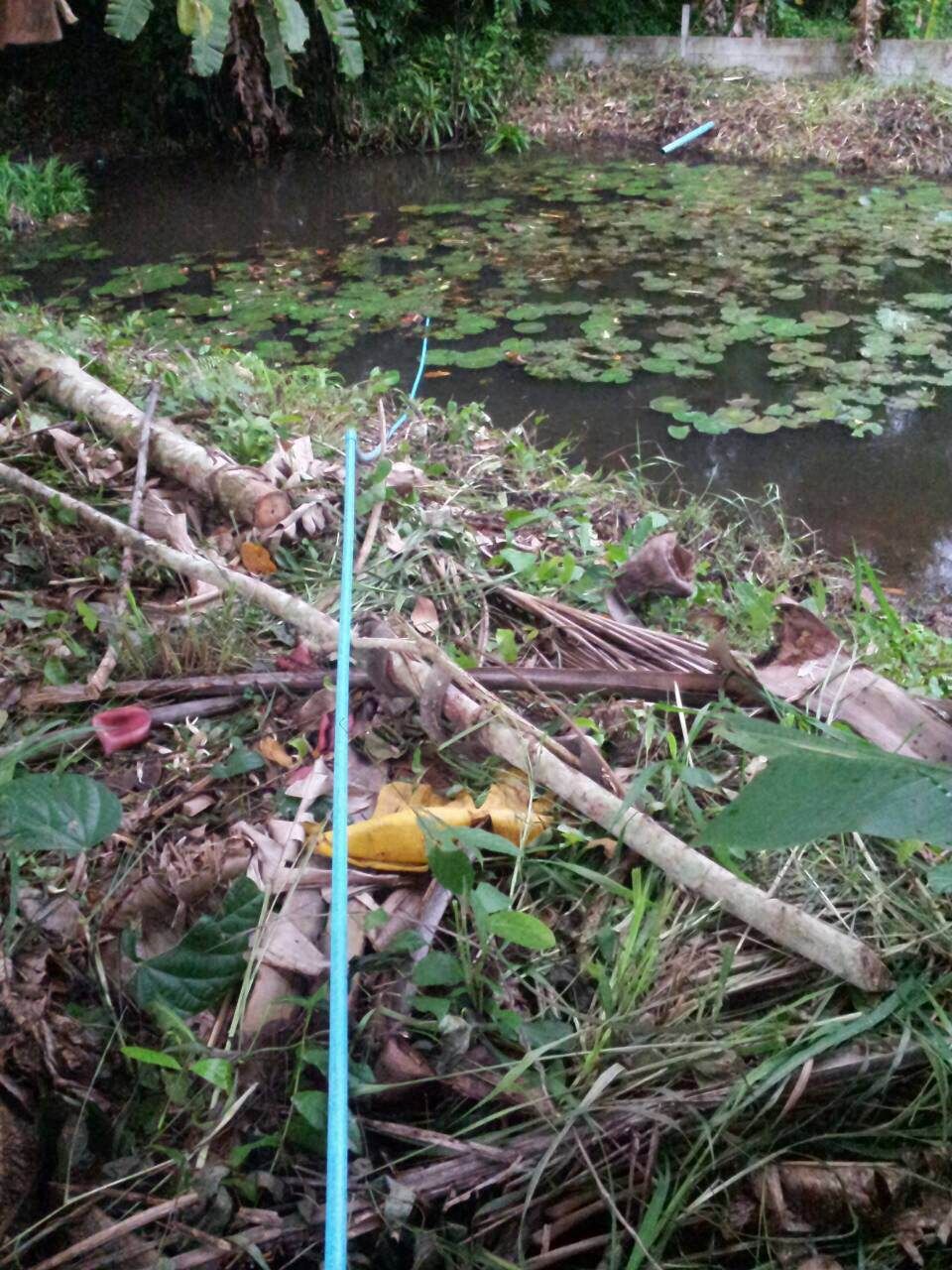 SEAFLO ปั๊มน้ำ DC12V รุ่น SEAFLO-51 แรงดัน 4.1 บาร์ 1,200 ลิตร/ชม.( ปั๊มสูบน้ำ/พ่นหมอก/สปริงเกอร์ )