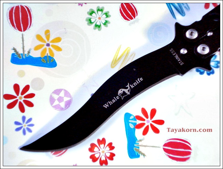 มีดBalisong TKBS 005J The Unagi Balisong มีดควงปลาไหล