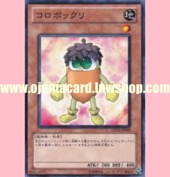 DP12-JP009 : Acorno (Common)
