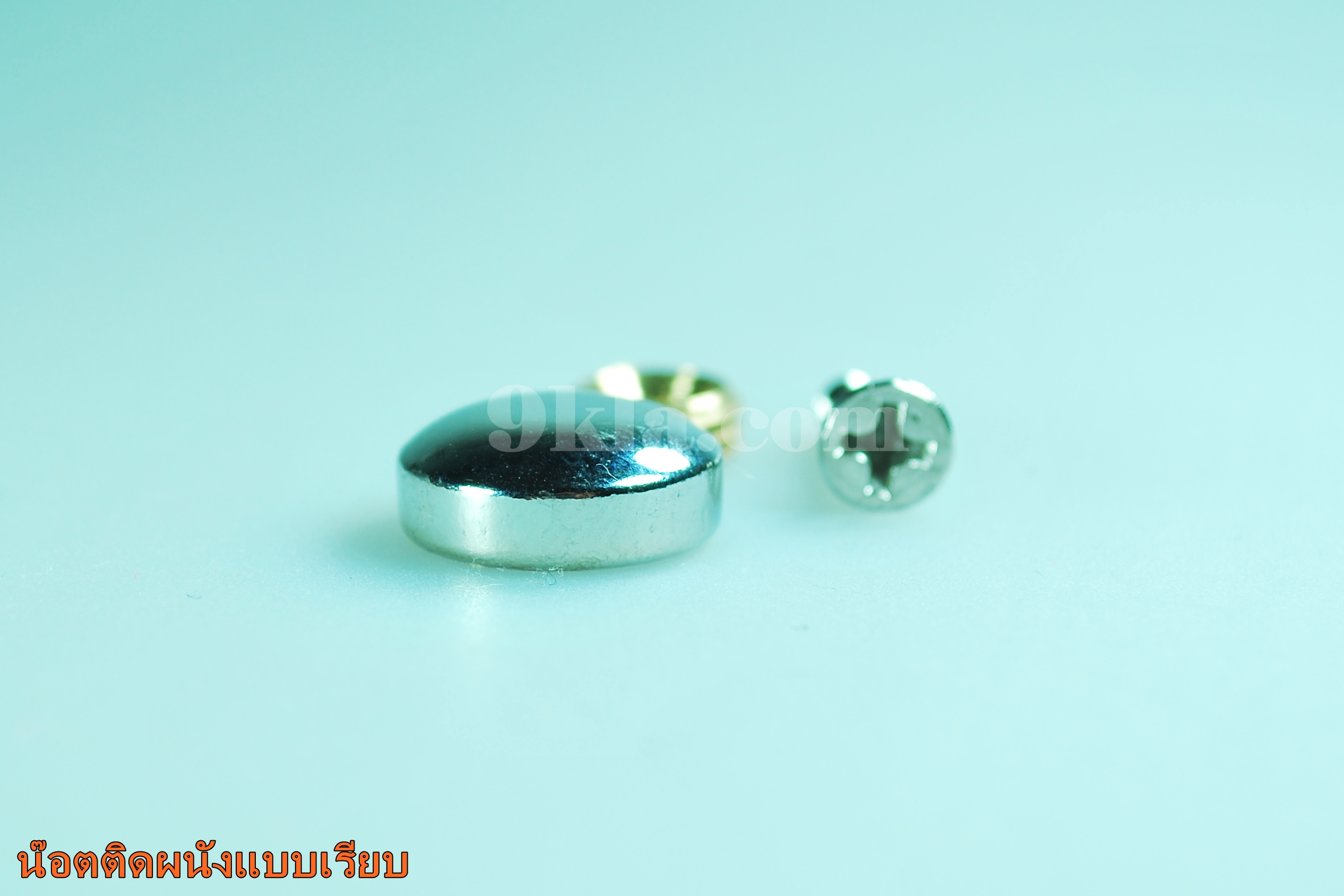 หมุดติดผนัง โครเมี่ยม (หลังเต่า) 25mm 100 ตัว โครเมี่ยม 100 ตัว