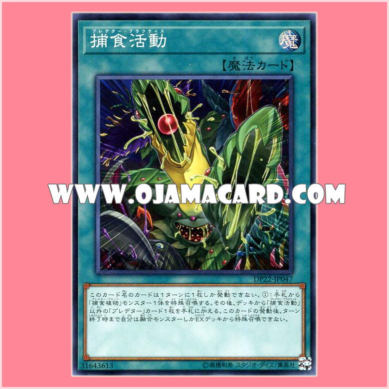 DP22-JP047 : Predapractice / Predator Practice (Super Rare)
