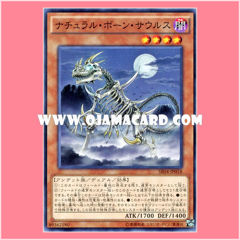 SR04-JP018 : Skelesaurus / Natural Bone Saurus (Common)