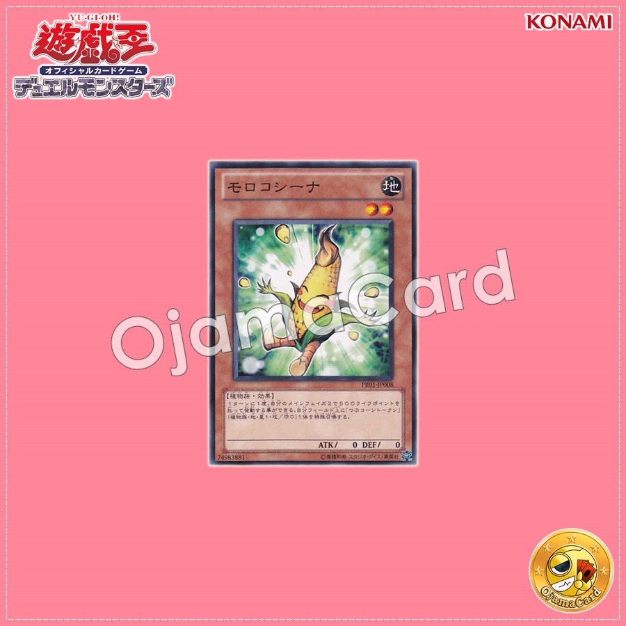PR01-JP008 : Sweet Corn / Morokoshina (Common)