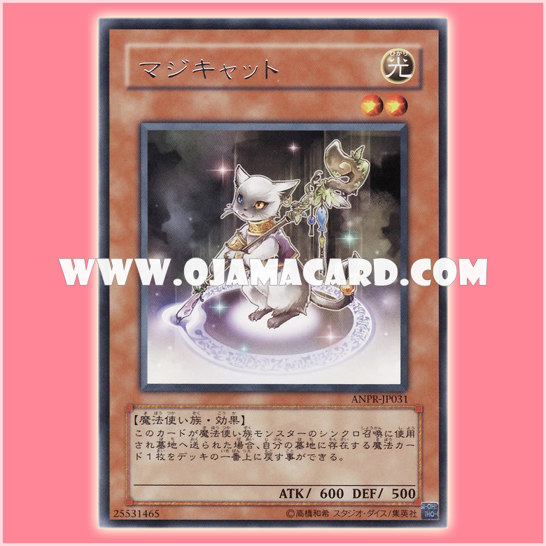 ANPR-JP031 : Magicat (Rare)