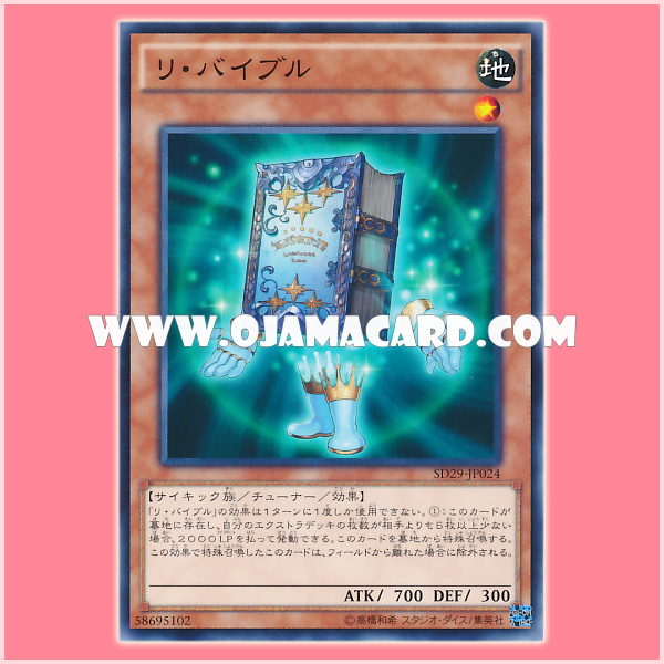 SD29-JP024 : Re-Cover / Re Vible (Common)