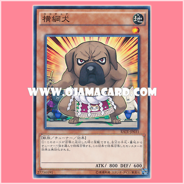 RATE-JP031 : Yokotuner (Common)