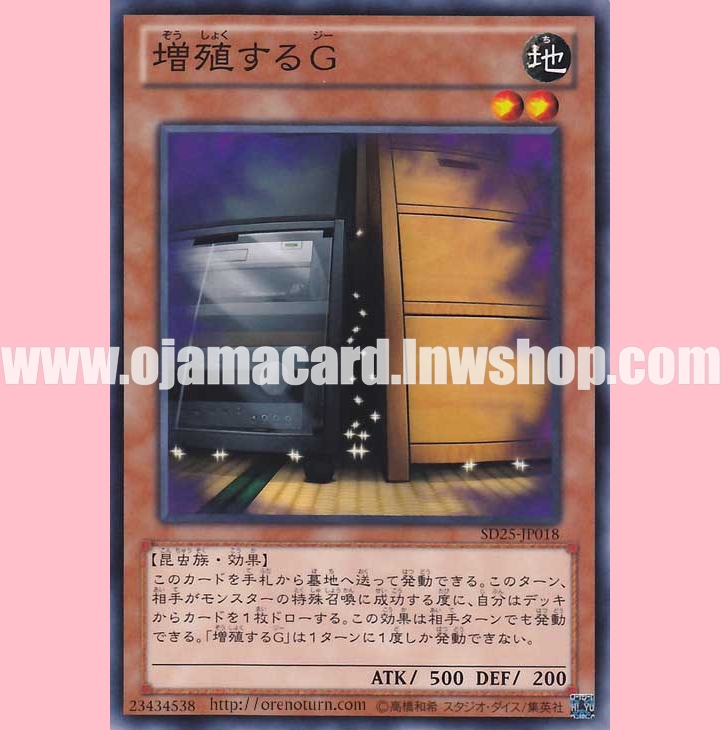SD25-JP018 : Maxx "C" / Multiplying G (Common)