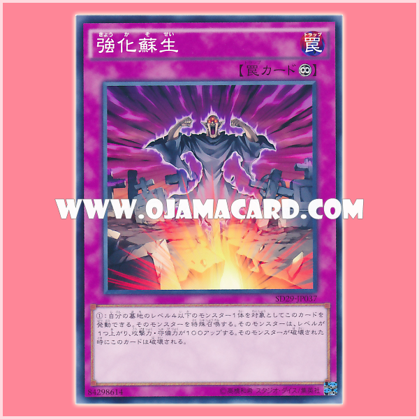 SD29-JP037 : Powerful Rebirth / Reinforcing Resurrection (Common)
