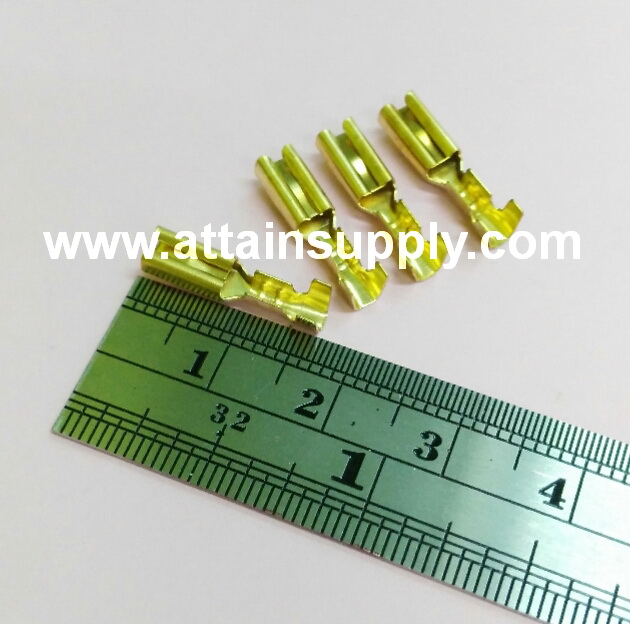 หางปลาทองเหลือง-แบน No.4