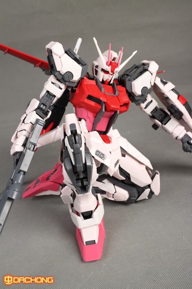 PG 1/60 Strike Rouge + Sky Grasper [Daban]