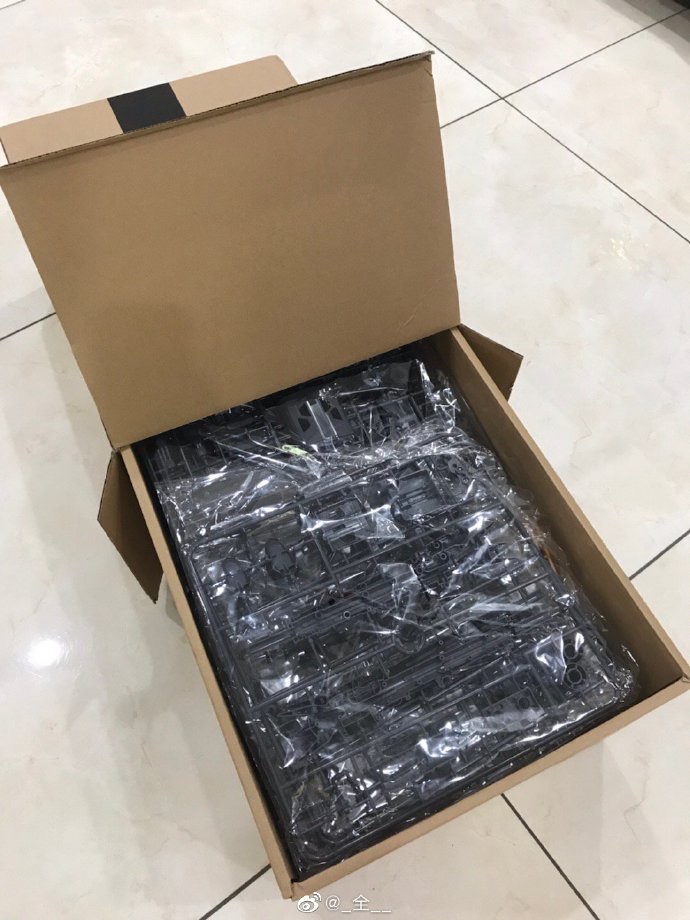 PG 1/60 Gundam Astray Blue Frame [Nillson Work]