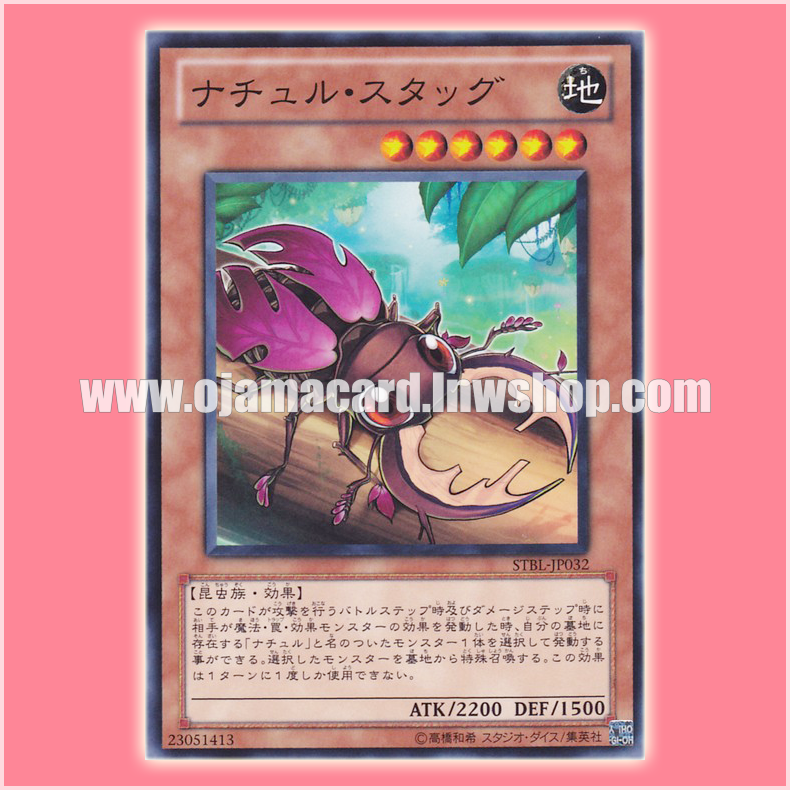 STBL-JP032 : Naturia Stag Beetle / Naturu Stag (Common) 98%