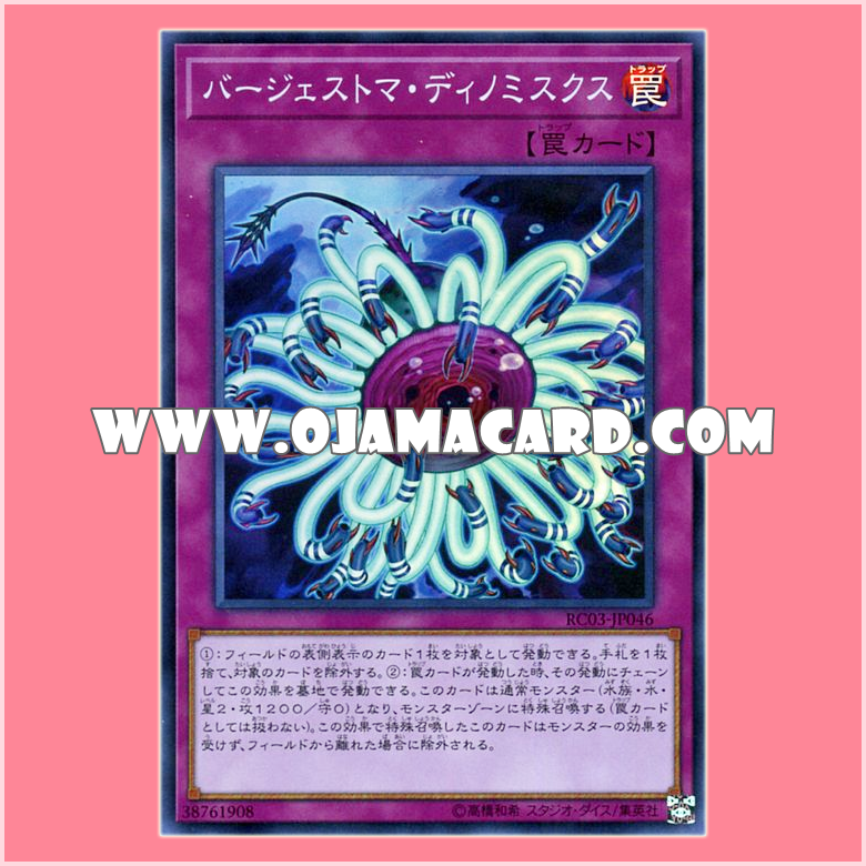 RC03-JP046 : Paleozoic Dinomischus / Burgesstoma Dinomischus (Super Rare)