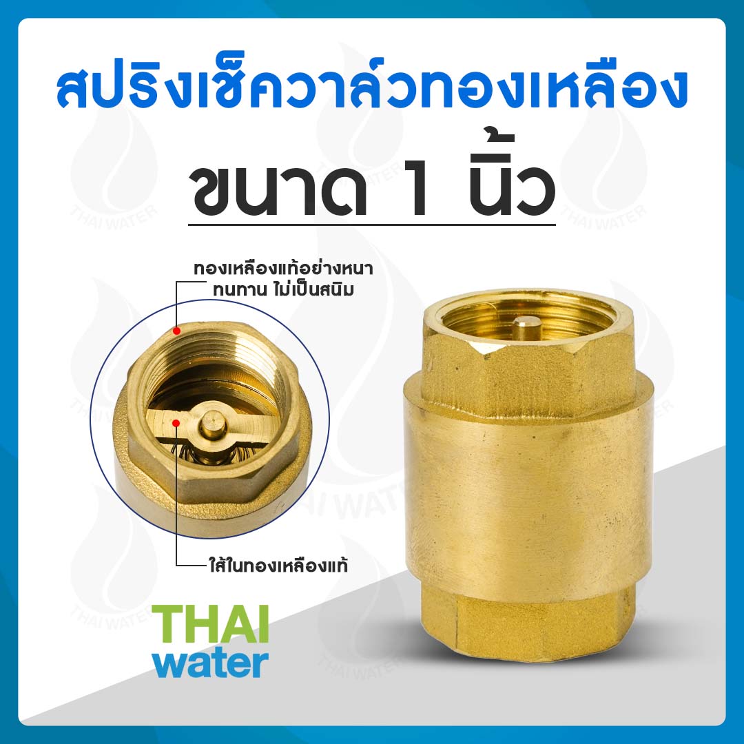 สปริงเช็ควาล์ว 1"