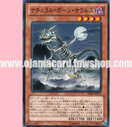 SHSP-JP037 : Natural Bone Saurus (Common)
