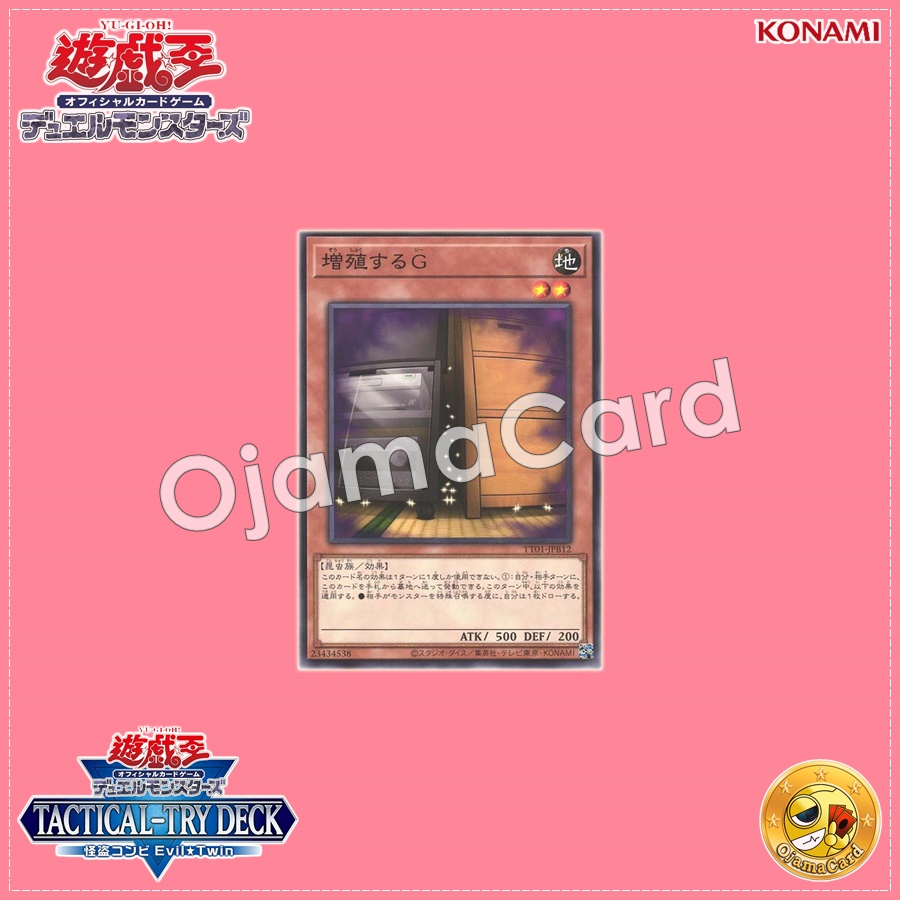TT01-JPB12 : Maxx "C" / Multiplying G (Common)