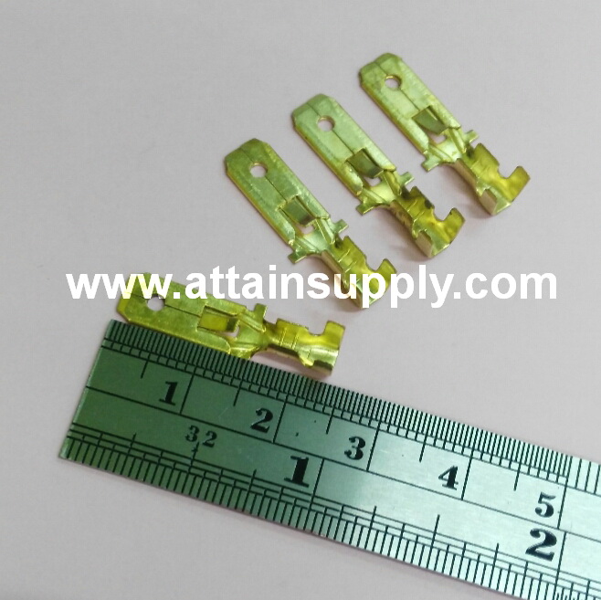 หางปลาทองเหลือง-แบน No.1