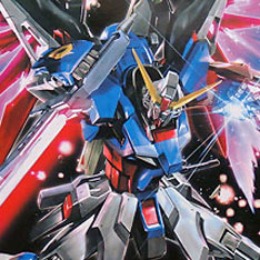 MG (007) 1/100 GUNDAM DESTINY EXTREME BLAST MODE