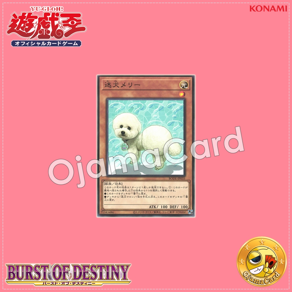 BODE-JP035 : Outstanding Dog Mary / Wandering Dog Mary (Normal Rare)