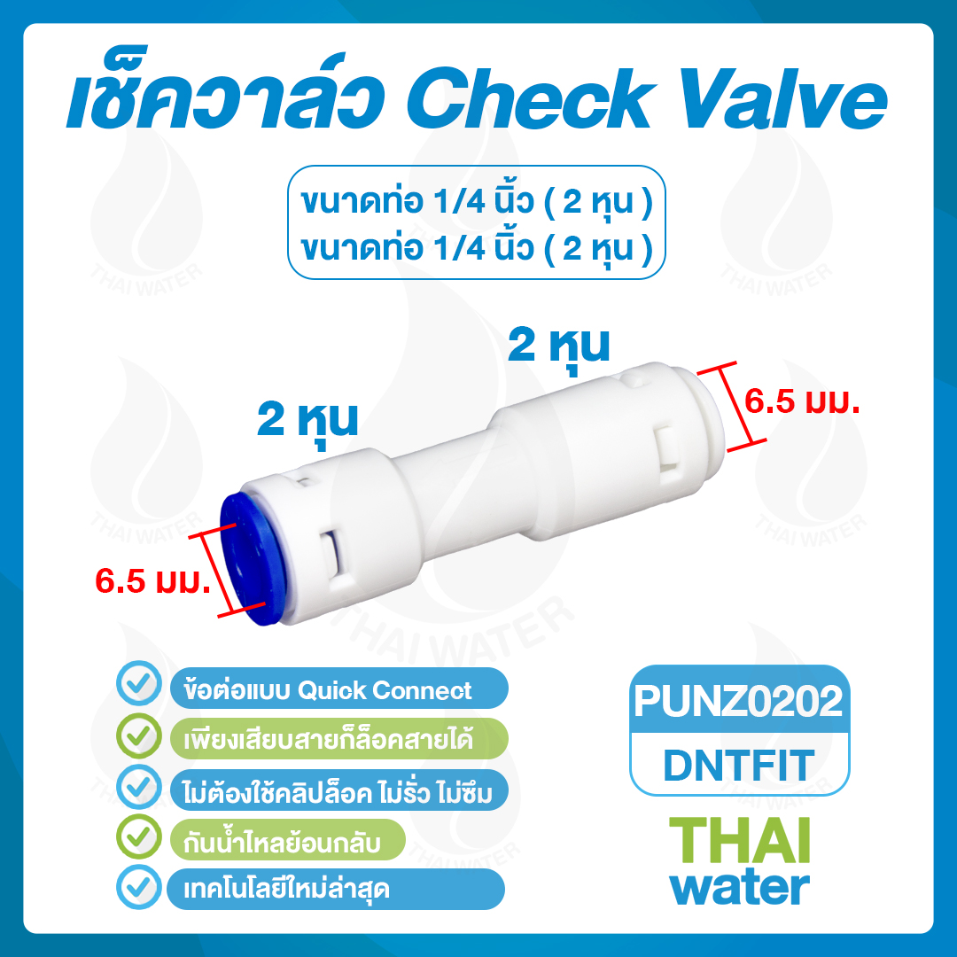 03-DNT-PUNZ0202 DNT PUNZ0202 เช็ควาล์ว 2 หุน
