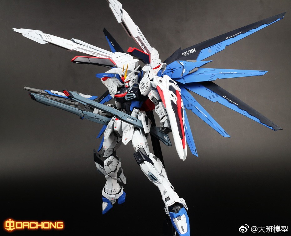 MG 1/100 (6650) Freedom Gundam Ver. 2.0 [Daban]