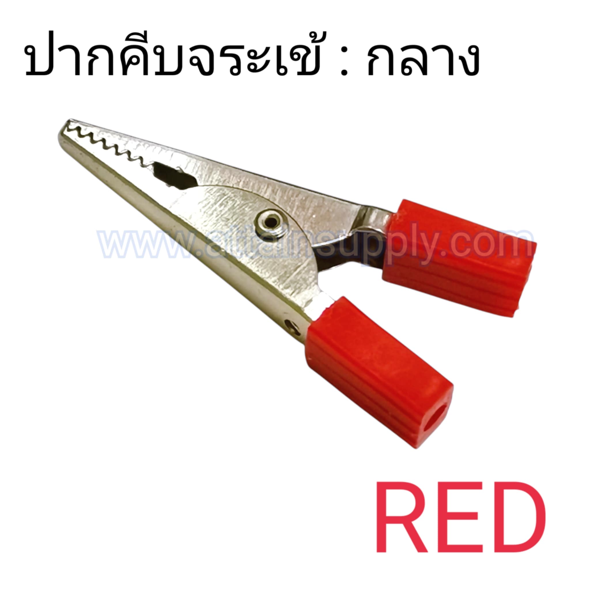 ปากคีบจระข้-กลาง/สีแดง