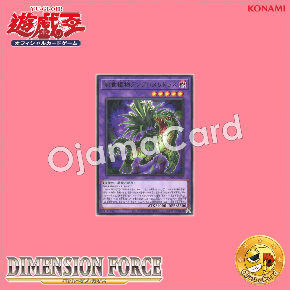 DIFO-JP037 : Predaplant Ambulomelides / Predator Plants Ambulomelidus (Rare)