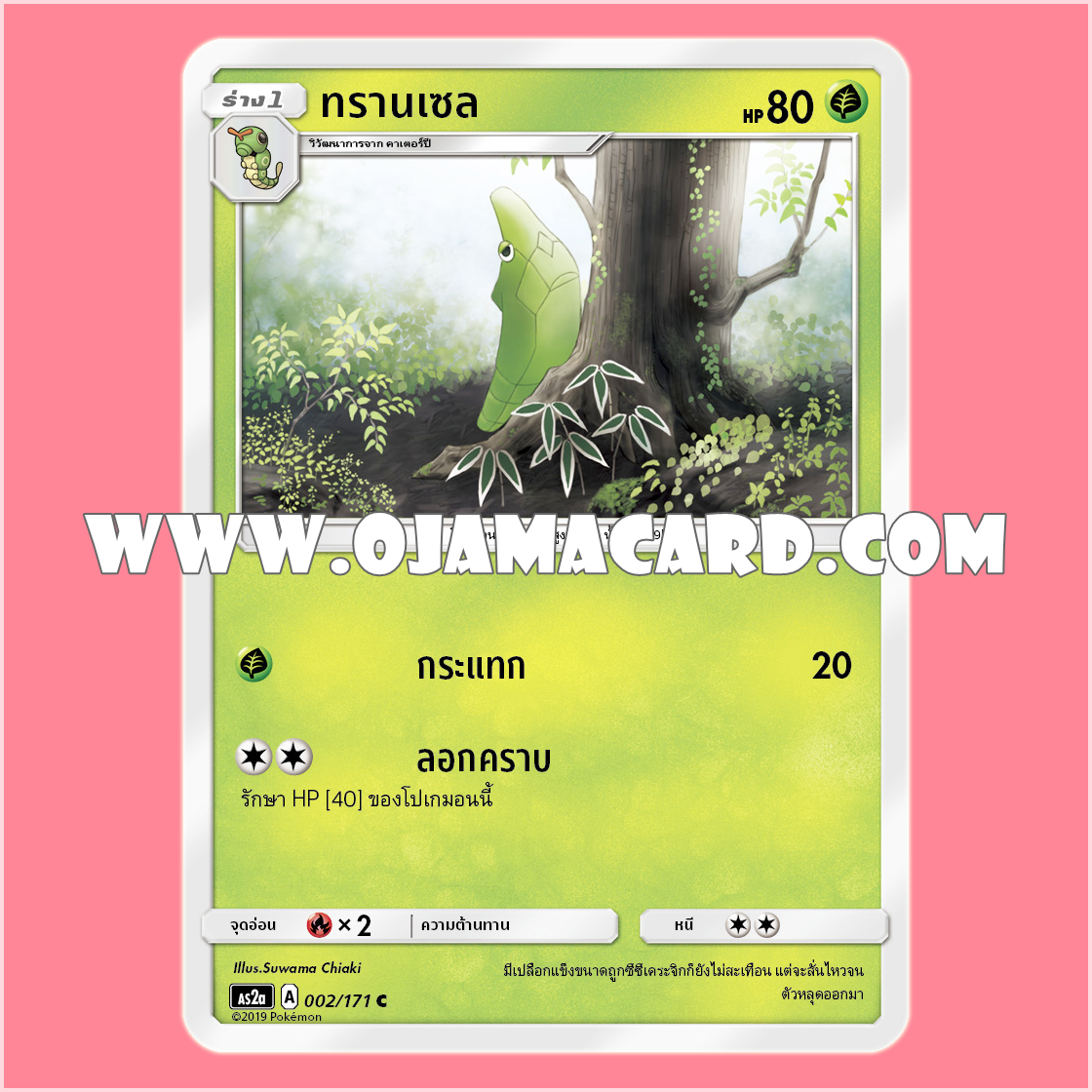 002/171 : ทรานเซล - C [AS2A]