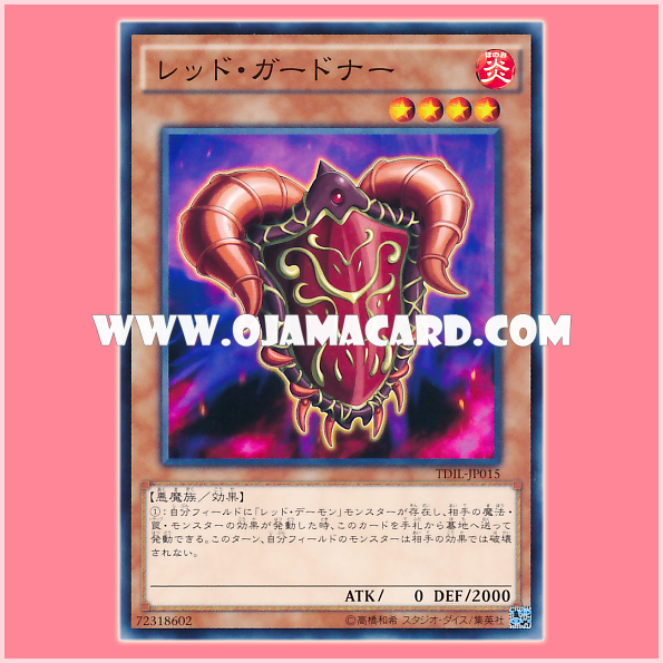 TDIL-JP015 : Red Gardna (Common)