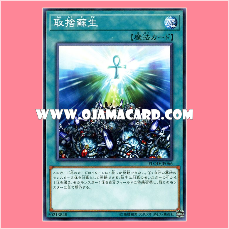 FLOD-JP066 : Selective Reborn (Normal Rare)