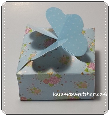 ปากกาแคปซูลคู่แพ็กในกล่องสีฟ้า