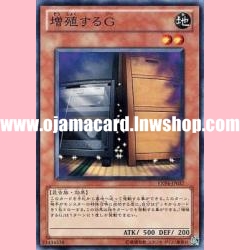 EXP4-JP037 : Maxx "C" / Multiplying G (Normal Rare)