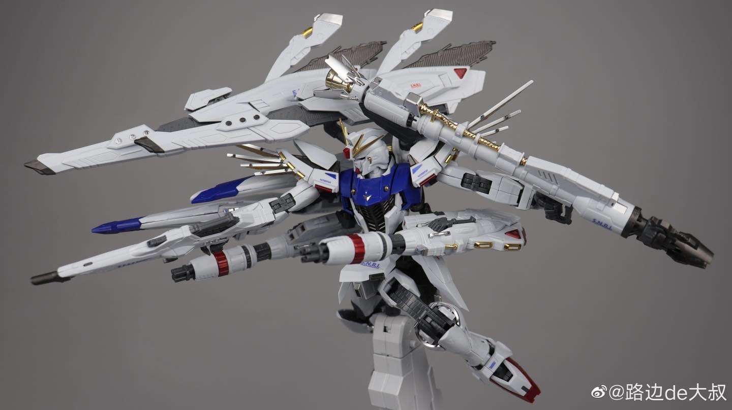 MG 1/100 F91 Ver.MB + MSV Option Set (8821) [Daban]