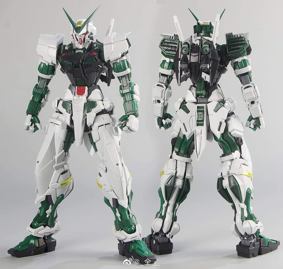 PG 1/60 Gundam Astray Green Frame [Nillson Work]