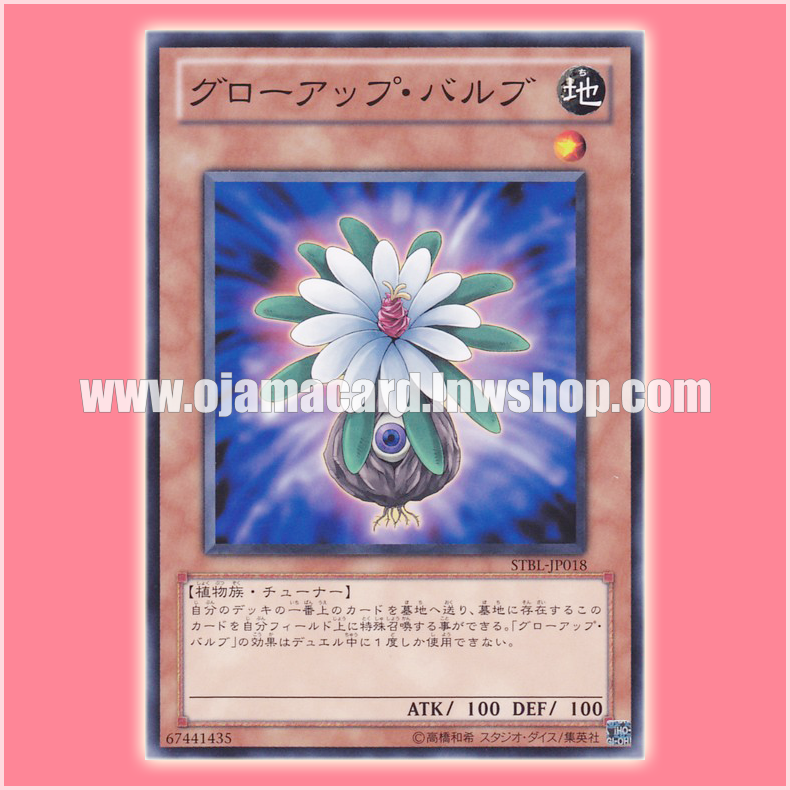 STBL-JP018 : Glow-Up Bulb (Common)