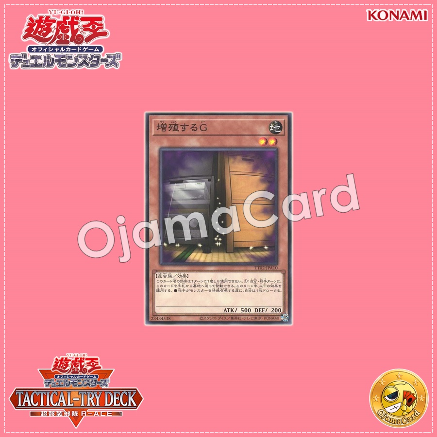 TT02-JPA10 : Maxx "C" / Multiplying G (Common)