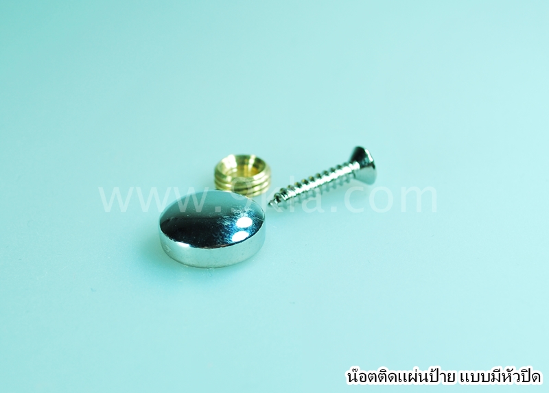 หมุดติดผนัง โครเมี่ยม (หลังเต่า) 25mm 100 ตัว โครเมี่ยม 100 ตัว
