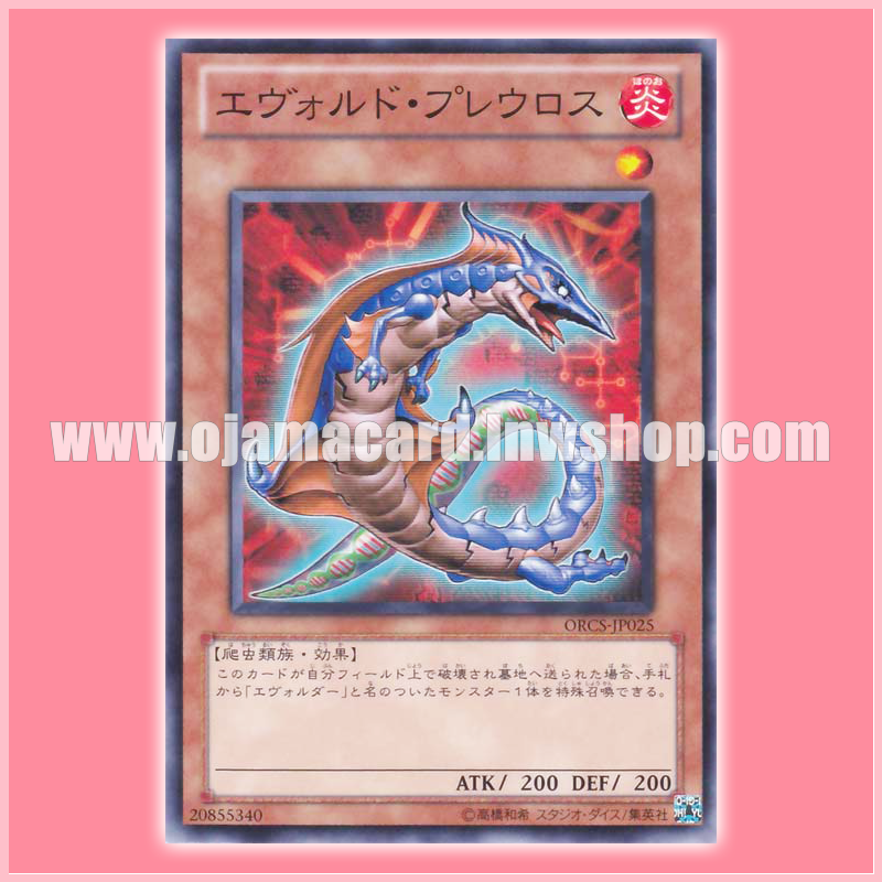 ORCS-JP025 : Evoltile Pleuro (Common)